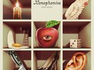 Monophonics SAGE MOTEL Limited Edition NEW ORANGE/BLACK COLORED VINYL RECORD LP