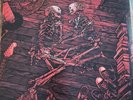 Fall Out Boy BELIEVERS NEVER DIE VOLUME VINYL LP With Limited Edition Print