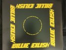 Billie Eilish live at third man records vinyl 2020 RSD Blue Vinyl
