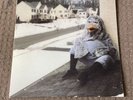 The Wonder Years - Suburbia I've Given You All And Now I'M Nothing (LP, 2011)