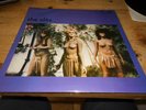 The Slits Cut Vinyl LP 1st UK pressing. Excellent Condition