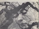 Orig '68 THE GAP MANGIONE TRIO Diana In The Autumn Wind LP Jazz Funk GRC