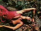 Roxy Music - Stranded - Half Speed Mastered Vinyl LP