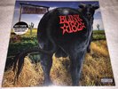 BLINK 182 Dude Ranch Clear/Orange/Brown Splatter Vinyl