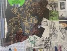 Animal Collective Time Skiffs SIGNED AUTOGRAPHED vinyl 2-LP (new, sealed)