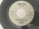 Northern soul 45/ The Tranells Come on & Tell Me/ Music Swayed Chelten VG+ HEAR