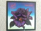 Vinyl 12