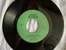 GUITAR RAY 45 Never Gonna Break His Rules/Wreck My Life SHAGG 711 nola soul ORIG