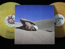 PINK FLOYD RARE 2 LP DEMOS MARBLE COLORED VINYL GREAT SOUND DIFFERENT VERSION