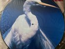 Faith no more A Small Victory 12” picture disc Vinyl LP From Out Of Nowhere