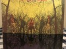 American Blues - Do Their Thing - Original 1968 Album