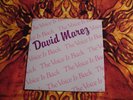 David Marez The Voice Is Back LP Spanish Tejano Tex-Mex