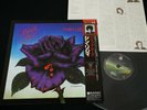 THIN LIZZY - BLACK ROSE A ROCK LEGEND - JAPAN VINYL LP OBI 17PP-2 EX-/EX