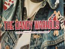 THE DANDY WARHOLS Thirteen Tales From Urban Bohemia 2Lp Vinyl Lp Record COLOUR