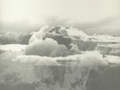 IF THESE TREES COULD TALK - The Bones Of A Dying World - Vinyl (LP)
