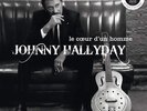 Hallyday Johnny Le Coeur d'un Homme  (Vinyl)