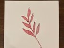 The Album Leaf one day i’ll be on time record Pink White Swirl Vinyl Lp