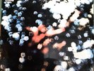 PINK FLOYD OBSCURED BY CLOUDS 33 RPM RECORD VINYL VINTAGE SEALED
