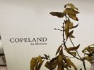 Copeland In Motion Vinyl LP