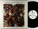 Seeds Of Fulfillment - S/T LP - Fulfillment Productions - Private Jazz Funk VG+