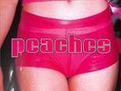 Peaches / THE TEACHES OF PEACHES (PINK LP) / XL Recordings / XL163LP / 05839891