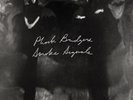 Phoebe Bridgers SMOKE SIGNALS 7” Vinyl Record 45 RPM Extremely RARE Boygenius