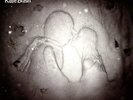 KATE BUSH - 50 WORDS FOR SNOW 2X 180G VINYL LP REISSUE (NEW/SEALED)