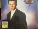Rick Astley WHENEVER YOU NEED SOMEBODY NEW SEALED RSD 2022 RED VINYL Never Gonna