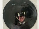David Bowie Cat People US Promo 7” Picture Disc