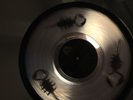 SUPER RARE KingGizzard&TheLizzardWizard Polygondwanaland REAL SCORPIONS vinyl