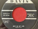 The Dovers - Sweet As A Flower / Boy In My Life - Davis - RARE DOOWOP 45