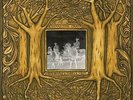 Crain Samantha - Under Branch & Thorn & Tree [VINYL]