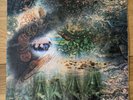 PINK FLOYD - A SAUCERFUL OF SECRETS. VINYL LP. 1st PRESSING. MONO 1968 COLUMBIA