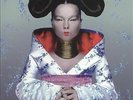 Björk  Homogenic Vinyl DMM 45rpm