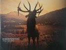 Kosheen – Resist LP – DnB Drum and Bass Downtempo Breakbeat
