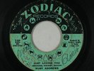 Northern Soul 45 - Ruby Andrews - Just Loving You - Zodiac - mp3