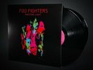 FOO FIGHTERS Wasting Light (Lp) 2VINYL NEW