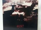 Amebix arise Lp Selten