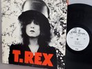T. Rex The Slider Marc Bolan 1972 glam promo LP Reprise Records MS 2095 EX