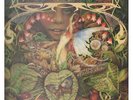 Spyro Gyra ‎LP Vinyl Morning Dance / MCA Records 250 420-1 Versiegelt