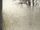 BON IVER - For Emma Forever Ago - Vinyl (LP)