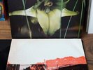 Psychic TV: Dreams Less Sweet * Vinyl LP - Some Bizzare - UK 1983