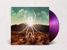 Danger Days US Exclusive Purple Vinyl My Chemical Romance 2