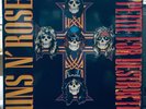 Guns N’ Roses - Appetite for Destruction 1987 Geffen  GHS-24148 Vintage Vinyl