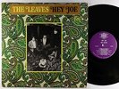 Leaves - Hey Joe LP - Surrey 1st Press Mono VG+