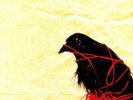 Death Cab For Cutie TRANSATLANTICISM VINYL LP NEW