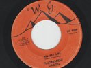 MODERN SOUL bw FUNK - FLUORESCENT SMOGG - ALL I WANT- RARE 1ST LABEL- HEAR \W.G.