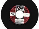 GIRL GROUP 45 RPM - JULIE AND THE DESIRES ON LAURIE RECORDS (PROMO)