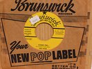 The Ivies doo wop 45 Come On bw Sunshine on Brunswick