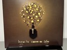 The Fray - How To Save A Life Vinyl - Buttercream Color - RARE - OOP